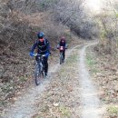 팽나무 펜션 이미지