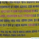 손가아나고꼼장어