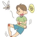 카유