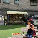 빵사이 | [연신내 카페] 사이빵 내돈내산 후기 | 연신내 소금빵&산도 맛집