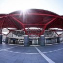 올림픽 태권도 이미지