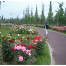 배산공원 화장실 이미지