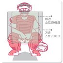 스트라익야구존