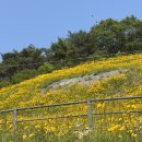 그곳에 그 집 | 가덕도 맛집 찐 로컬 한식 ‘그곳에그집’ 내돈내산 후기