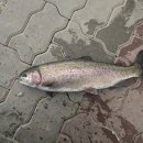 산들 낚시터 | [국내 여행/강원도 축제]-1월 9일 평창송어축제에 다녀오다..!!