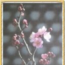 황토참숯가마 이미지