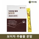 밤송이몰