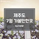 7월 제주도 가볼만한곳 제주도 핫플레이스 추천드려요~♥ 이미지