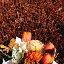 한국팬플룻오카리나강사협회광주지역회 이미지