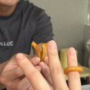 대정동물병원 | 왔다! 2026 !