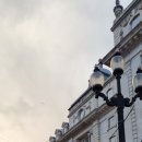 황금에너지 이미지