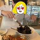 터틀파스타 이미지