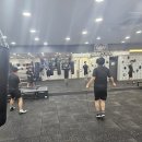 슈가복싱 프리미엄 이미지