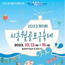 포구의 오후 이미지