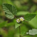 서울불암초등학교 이미지