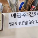 오송스타플라워 네이버블로그