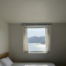 대나무펜션 | [거제] 감성숙소, 감성펜션 아날로그스테이 대나무초록:녹 숙박 후기