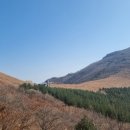 평원4길 1 이미지