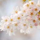 신등초등학교 이미지