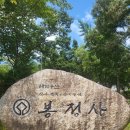 고요한 숲 이미지