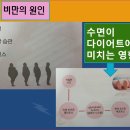 포블랑슈 뷰티풀 3.8