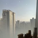 새벽집 | [판교] 현대백화점 육회비빔밥 맛있는 새벽집 후기