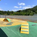 울산광역시 반려동물 문화센터 이미지