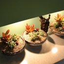 힐링 꽃꽃이 이미지