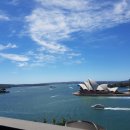 창용호키태권도 이미지