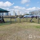 와스타디움 이미지