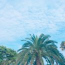 그림리조트 | 제주도 게하+리조트 4곳 후기 - 별달밤 빅썸 하도리니 그림리조트