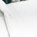 로제스(A)펜션 이미지