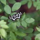 신선약수터 이미지