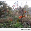 대봉약수터 이미지