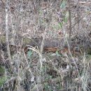 회원동126 이미지