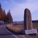 소답동237 이미지