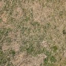 제이서해안고속도로(주) | 행담도 휴게소 테슬라 수퍼차저 및 애견파크 이용후기