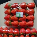 장희농장 이미지