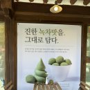 카페소복 | 전주 한옥마을 말차 카페, 소복 디저트 후기