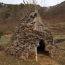 보청천(강산) Daum카페