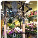 2011- San Francisco Flower Market - 4 이미지