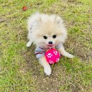 폴리파크 동탄호수공원점 이미지