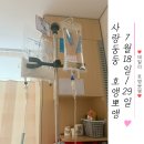양지우체국 | 쓸개없는 7월 :: 신림 H+양지병원 담낭염 로봇담낭절제술 수술 후기