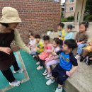 중광병설유치원 이미지