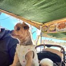 정희네소머리국밥 이미지