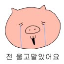 위캔두잇주 이미지