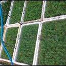 해송4로 이미지