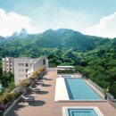 파라스파라 서울 이미지