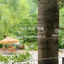 카페숲