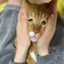 대야삼 2공원 공중화장실 | [6박7일 친구랑 호주여행] 6일차 / 캄포스커피, 시드니 대학교, THEECA 브런치, 옵저버토리힐 노을...